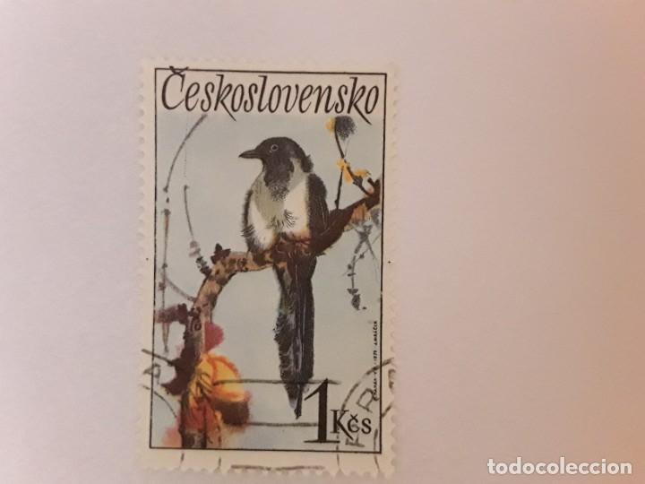 Sellos: CESKOSLOVENSKO SELLO USADO - Foto 1