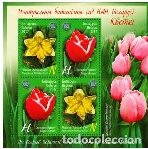 Sellos: BIELORRUSIA 2017 Jard&iacute;n Bot&aacute;nico Central.&nbsp;Flores. MNH** Bloque 150 (1193-1194)