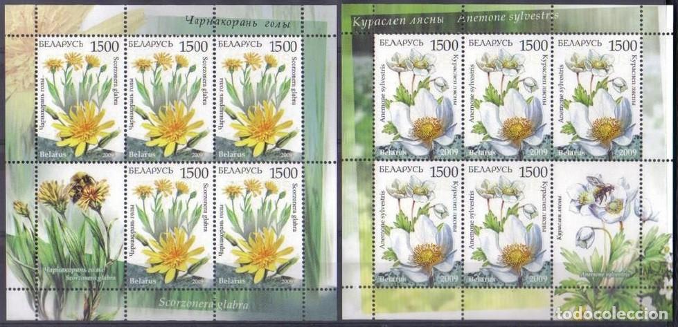 Selos: BIELORRUSIA 2009 2 SHEETS MNH FLORES FLOWERS FLEURS BLUMEN FIORI