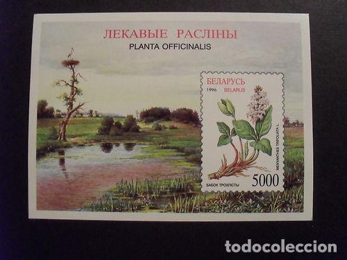 Timbres: BIELORRUSIA 1996 SHEET MNH FLORES FLOWERS FLEURS BLUMEN FIORI PLANTAS PLANTS PLANTES PFLANZEN