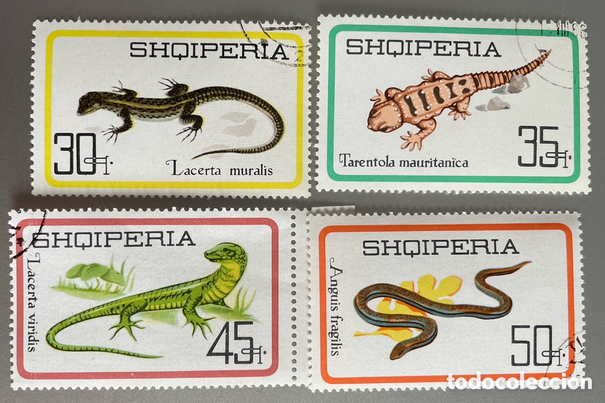 Sellos: Albania. Reptiles. 1966 - Foto 1