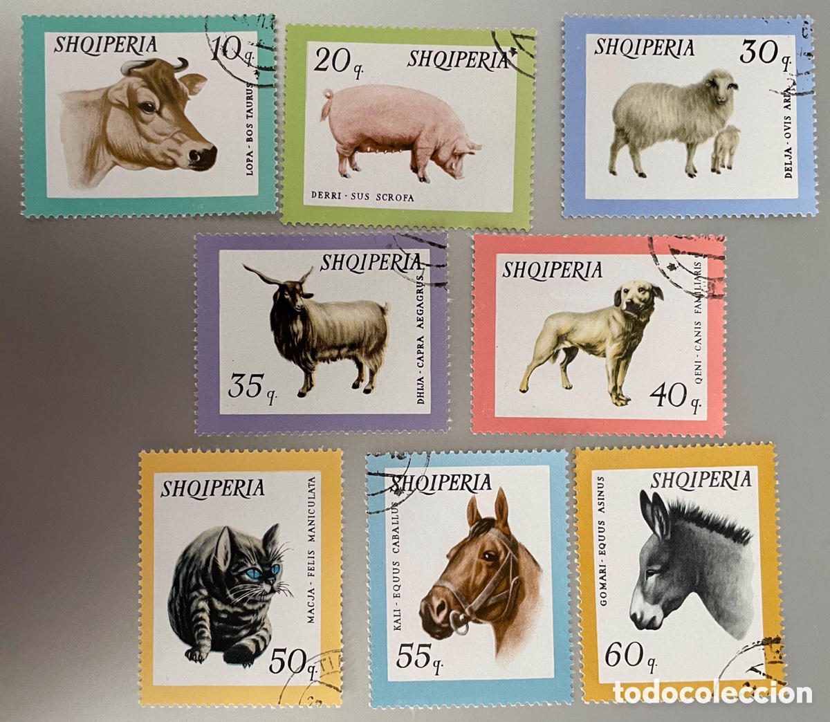 Selos: Albania. Fauna dom&eacute;stica. 1966