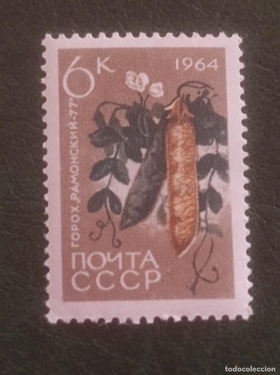 Sellos: 1964 urss - Foto 1