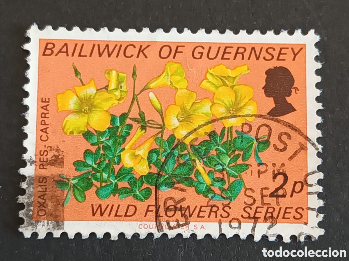 Sellos: GUERNSEY. SELLO USADO. - Foto 1