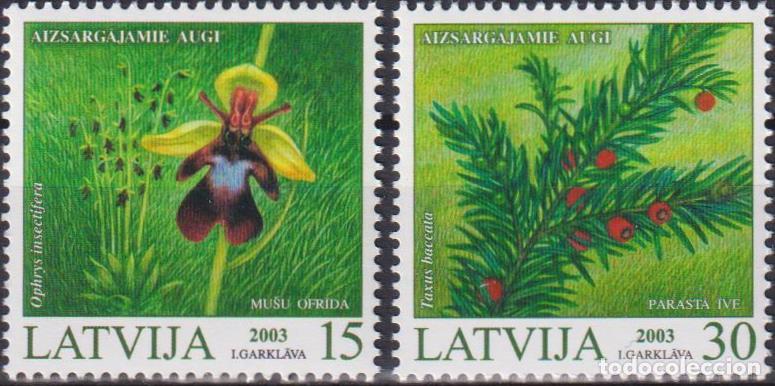 Sellos: Letonia 2003 Flora MNH - Foto 1