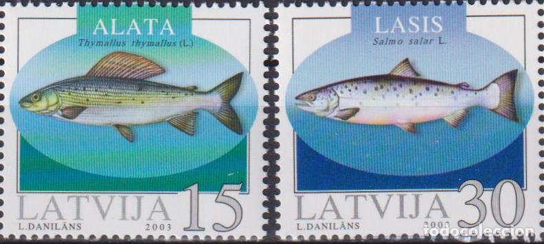 Sellos: Letonia 2003 Pez Pez MNH - Foto 1