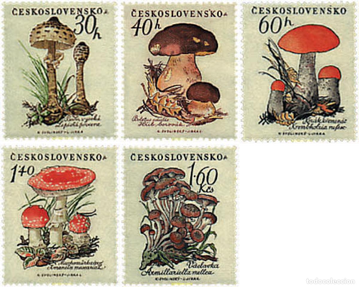 Stamps: 232433 HINGED CHECOSLOVAQUIA 1958 SETAS