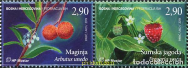 Sellos: 619983 MNH BOSNIA-HERZEGOVINA. Adm Croata 2019 FLORA