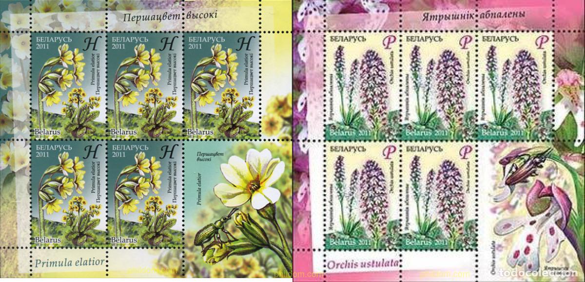 Stamps: 317247 MNH BIELORRUSIA 2011 FLORES