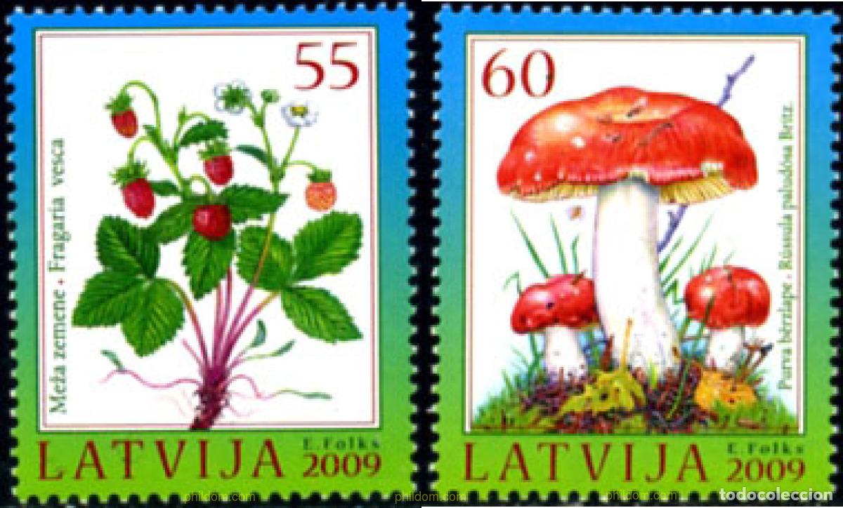 Sellos: 249997 MNH LETONIA 2009 - Foto 1