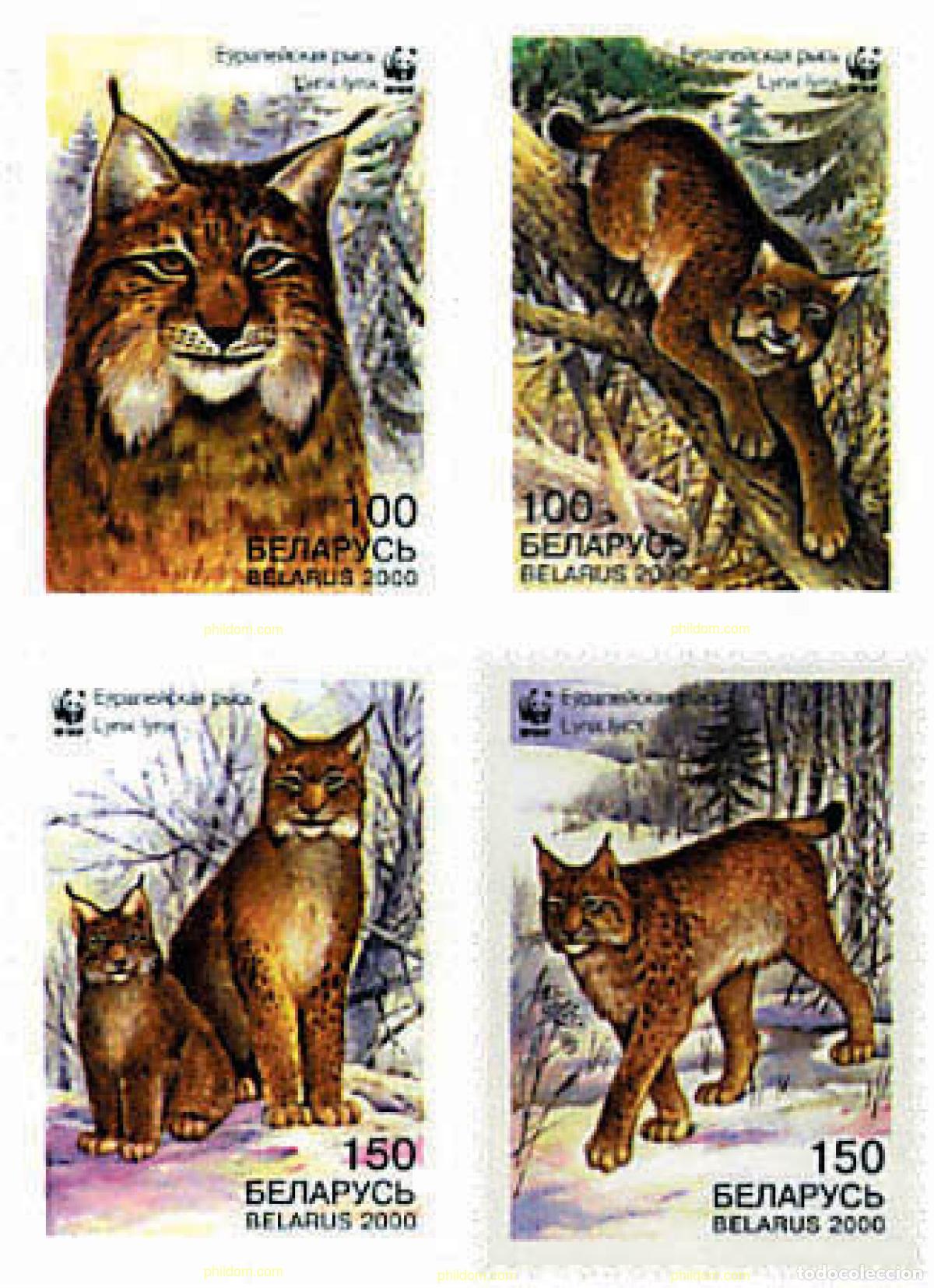 Sellos: 84534 MNH BIELORRUSIA 2000 PROTECCION DE LA NATURALEZA. LINCE