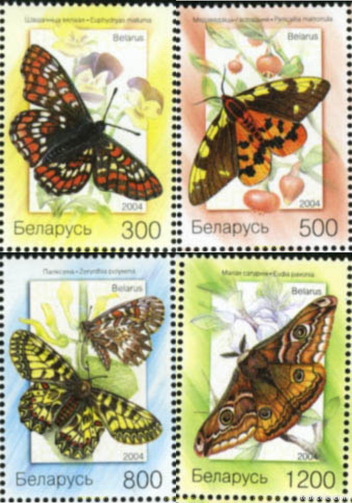 Sellos: 180542 MNH BIELORRUSIA 2004 MARIPOSAS