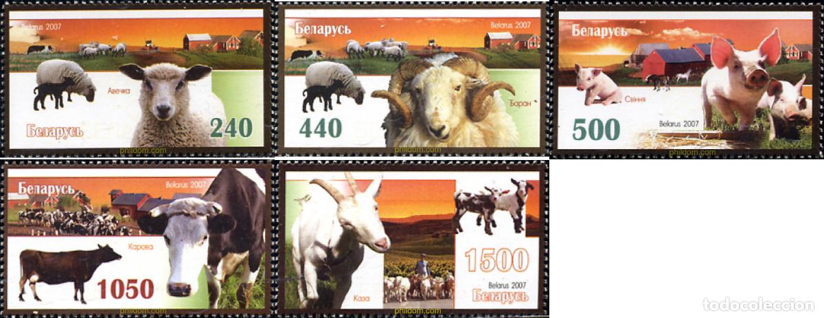 Sellos: 230508 MNH BIELORRUSIA 2007 FAUNA DOMESTICA