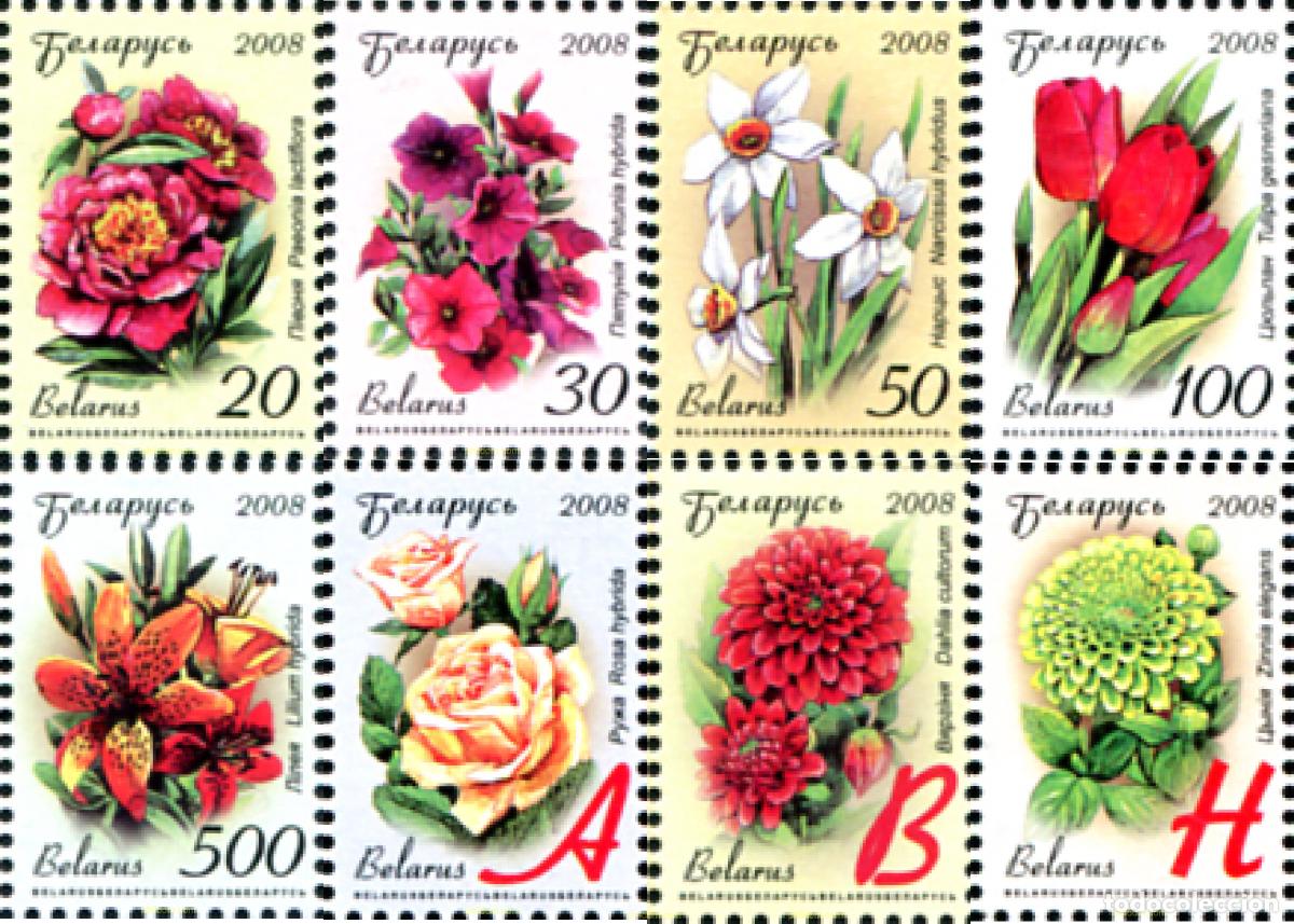 Sellos: 230512 MNH BIELORRUSIA 2008 SERIE BASICA. FLORES