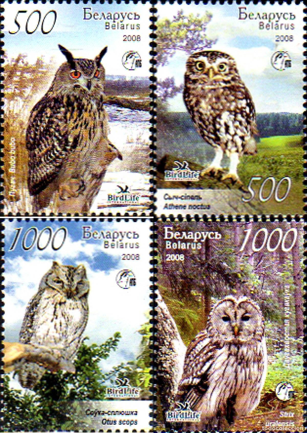 Sellos: 223208 MNH BIELORRUSIA 2008 AVES RAPACES