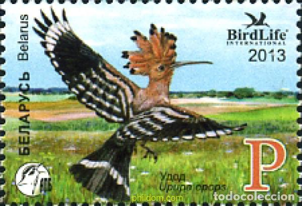 Sellos: 300865 MNH BIELORRUSIA 2013 AVE