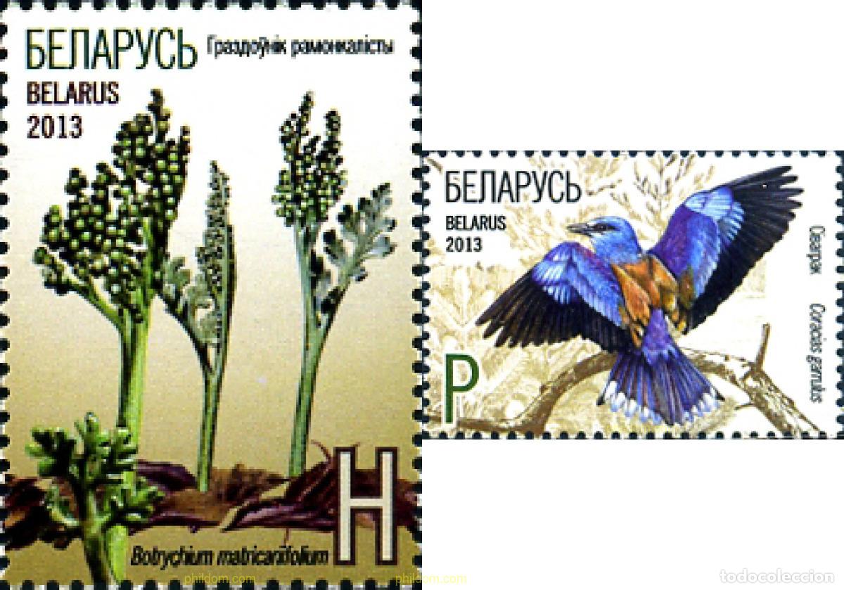 Sellos: 299664 MNH BIELORRUSIA 2013 FLORA Y FAUNA