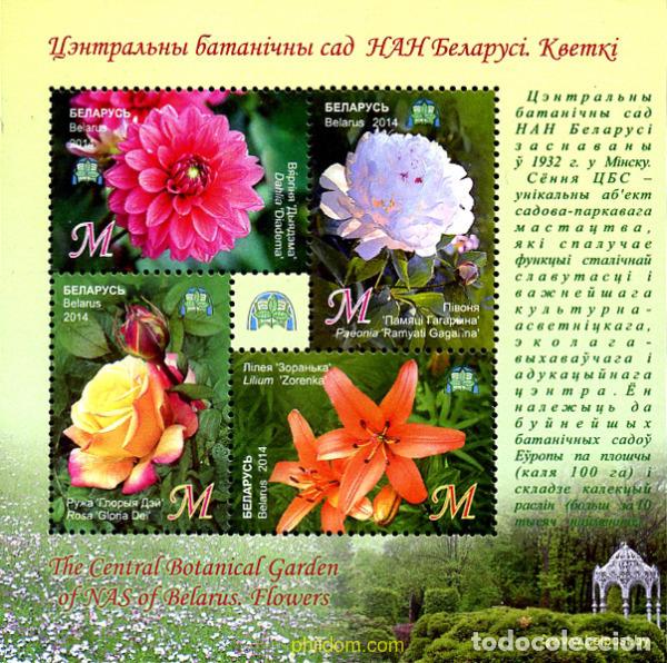 Sellos: 324614 MNH BIELORRUSIA 2014 FLORES