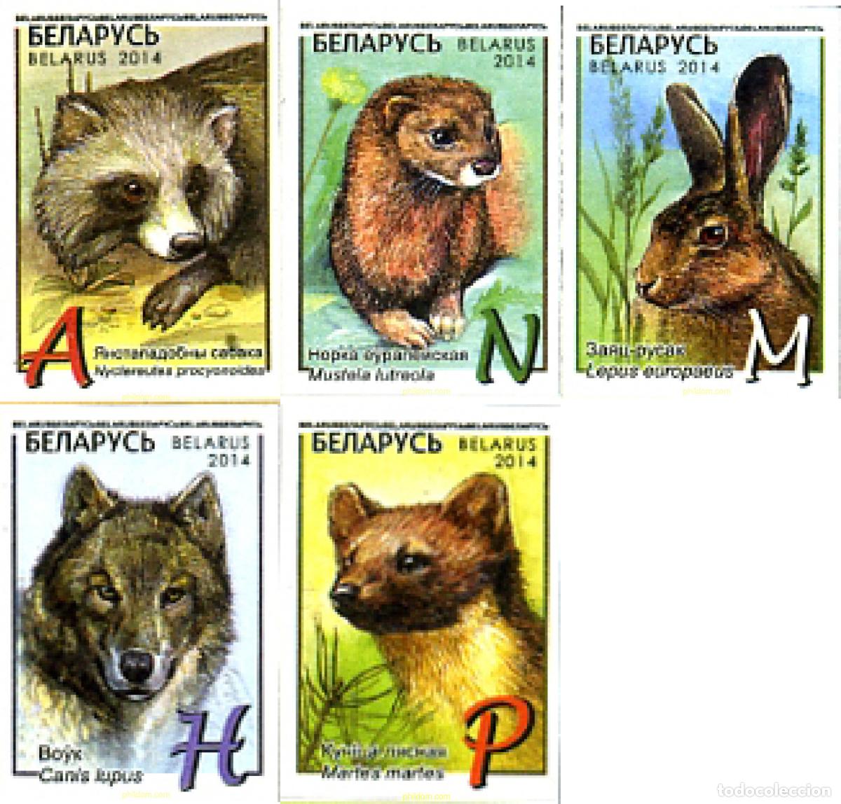 Sellos: 329957 MNH BIELORRUSIA 2014 FAUNA
