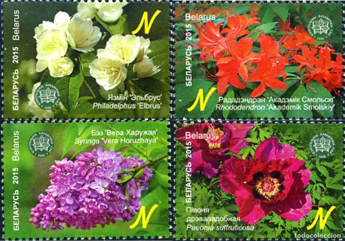 Sellos: 343152 MNH BIELORRUSIA 2015 FLORES SILVESTRES
