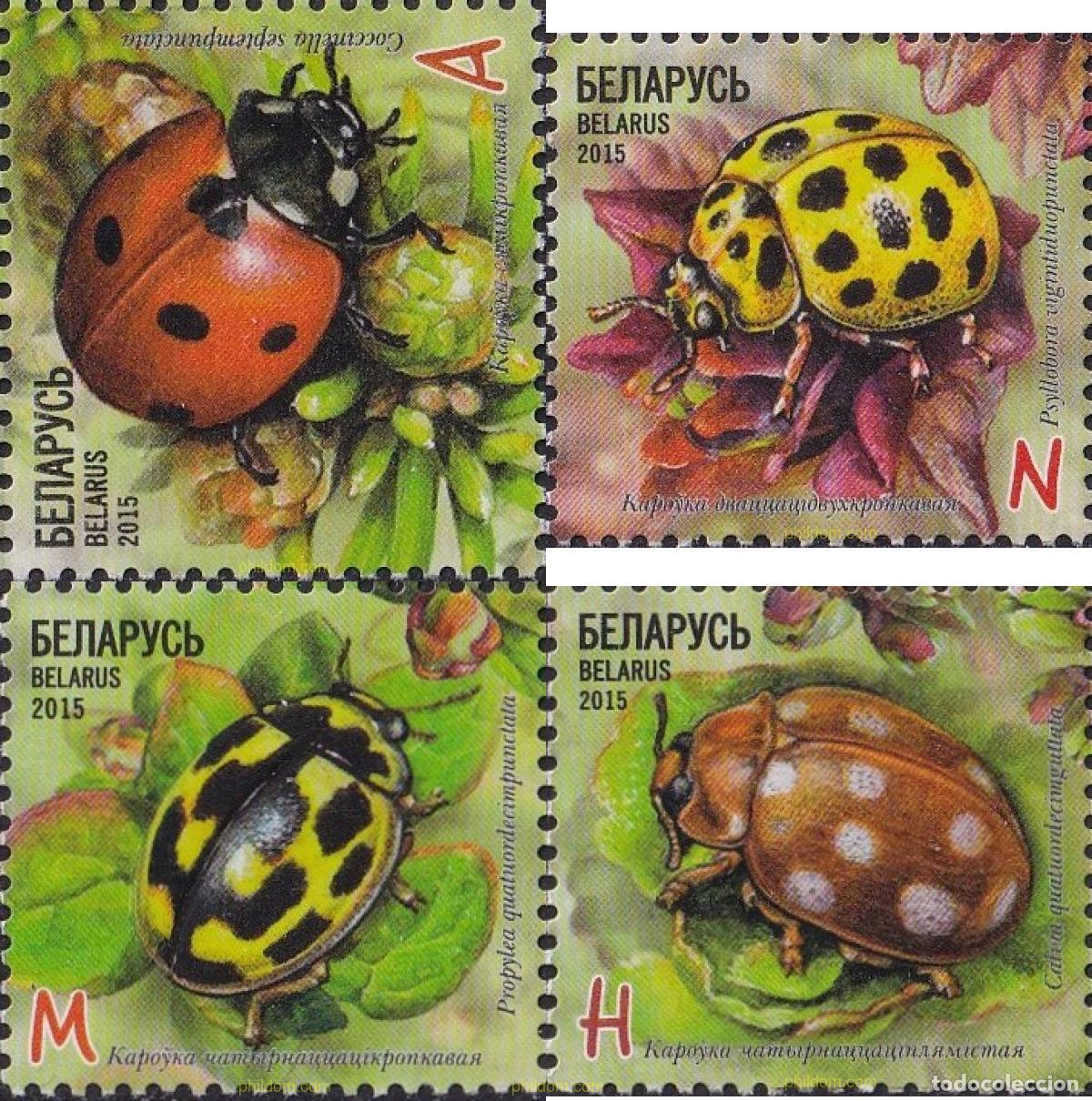 Sellos: 748461 MNH BIELORRUSIA 2015 INSECTOS. MARIQUITAS