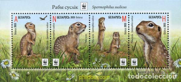 Sellos: 357317 MNH BIELORRUSIA 2015 FAUNA PROTEGIDA