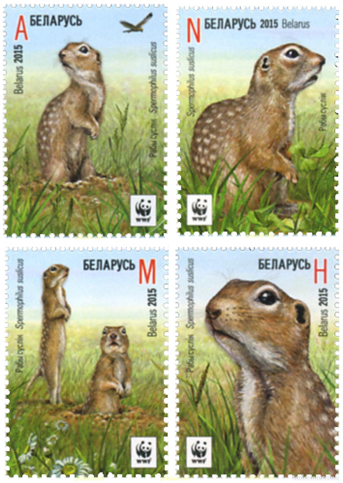 Sellos: 357315 MNH BIELORRUSIA 2015 FAUNA PROTEGIDA