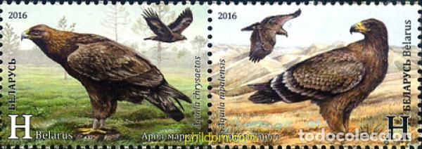 Sellos: 360879 MNH BIELORRUSIA 2016 AGUILAS