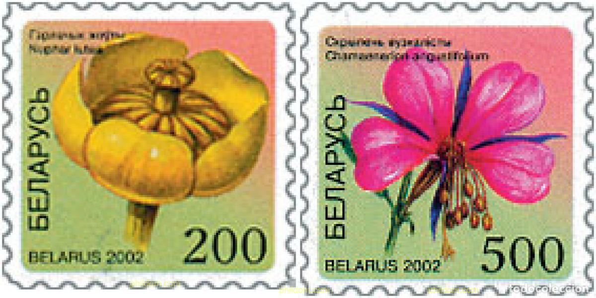 Sellos: 115464 MNH BIELORRUSIA 2002 FLORA