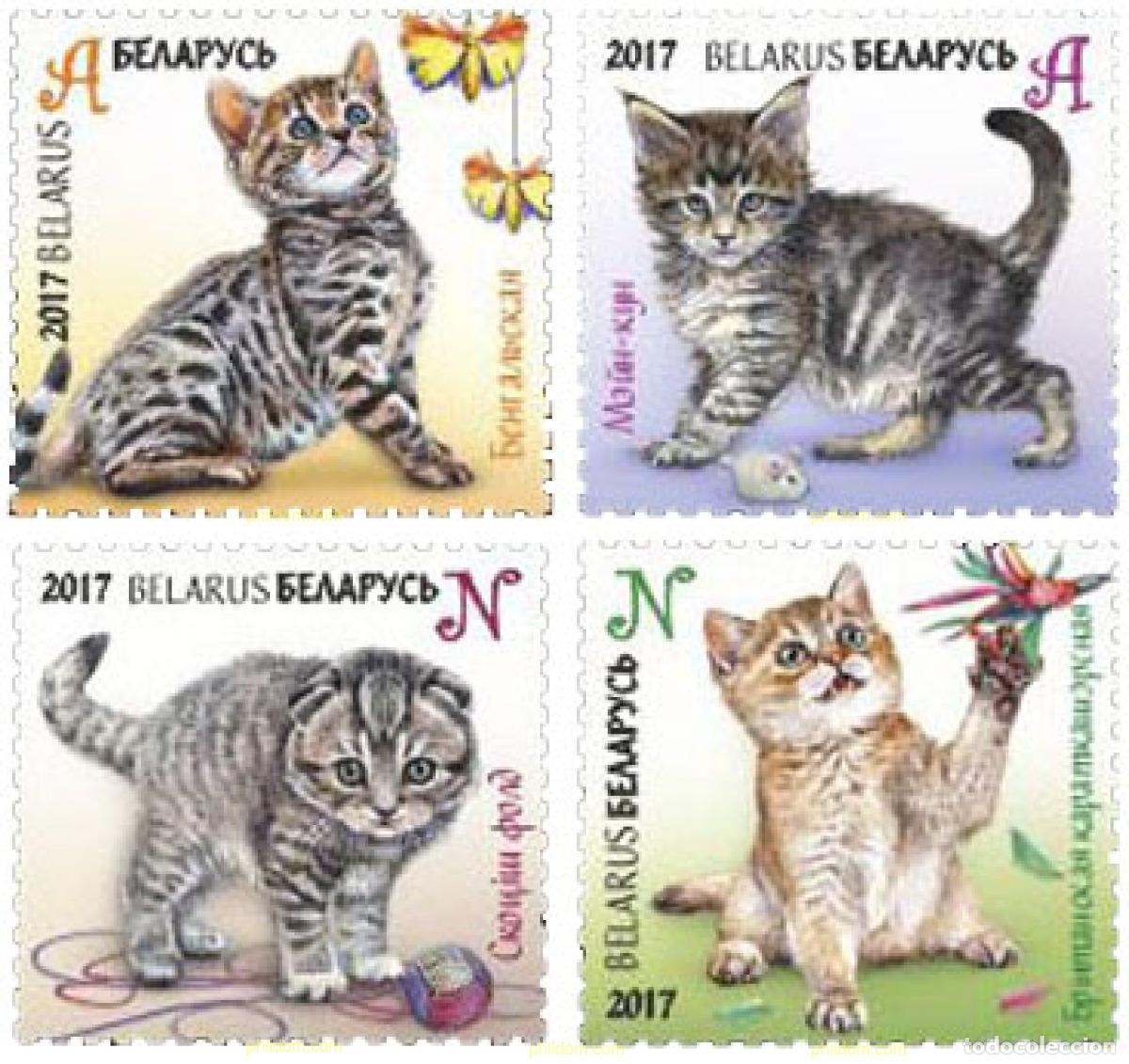 Sellos: 583724 MNH BIELORRUSIA 2017 GATOS