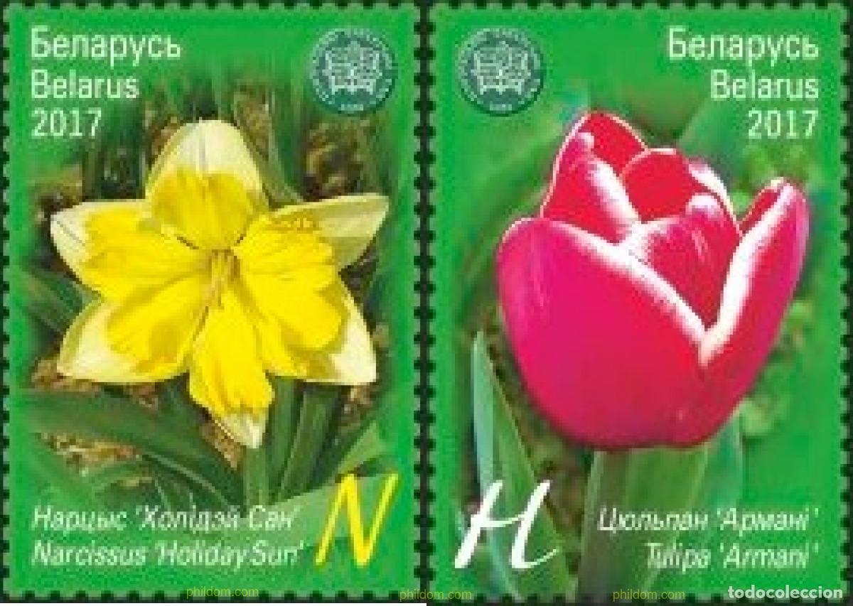 Sellos: 624131 MNH BIELORRUSIA 2017 FLORES. JARDIN BOTANICO CENTRAL DE NAS