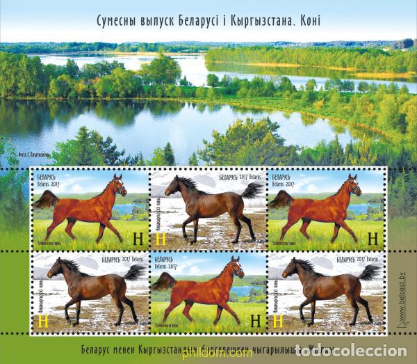 Sellos: 588607 MNH BIELORRUSIA 2017 CABALLOS