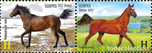Sellos: 785702 MNH BIELORRUSIA 2017 CABALLOS