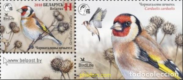 Sellos: 785797 MNH BIELORRUSIA 2018 AVES