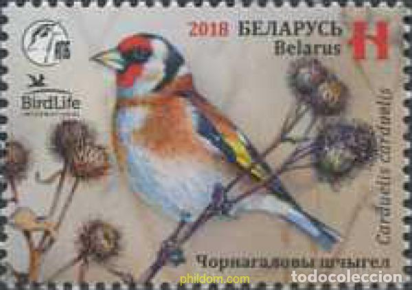 Sellos: 607858 MNH BIELORRUSIA 2018 AVES