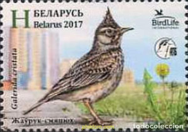 Sellos: 567247 MNH BIELORRUSIA 2017 AVES