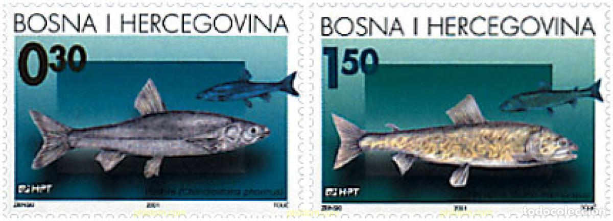 Sellos: 81087 MNH BOSNIA-HERZEGOVINA. Adm Croata 2001 PECES