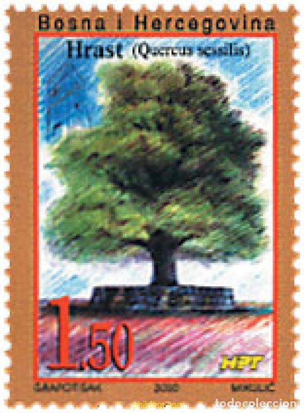 Sellos: 81091 MNH BOSNIA-HERZEGOVINA. Adm Croata 2000 ARBOL