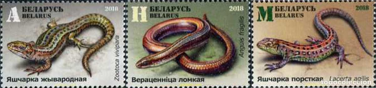Sellos: 617914 MNH BIELORRUSIA 2018 FAUNA
