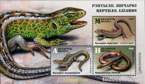 Sellos: 617440 MNH BIELORRUSIA 2018 FAUNA