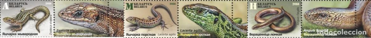Sellos: 786072 MNH BIELORRUSIA 2018 FAUNA