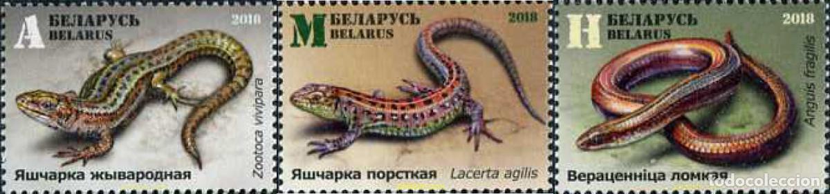 Sellos: 617914 MNH BIELORRUSIA 2018 FAUNA