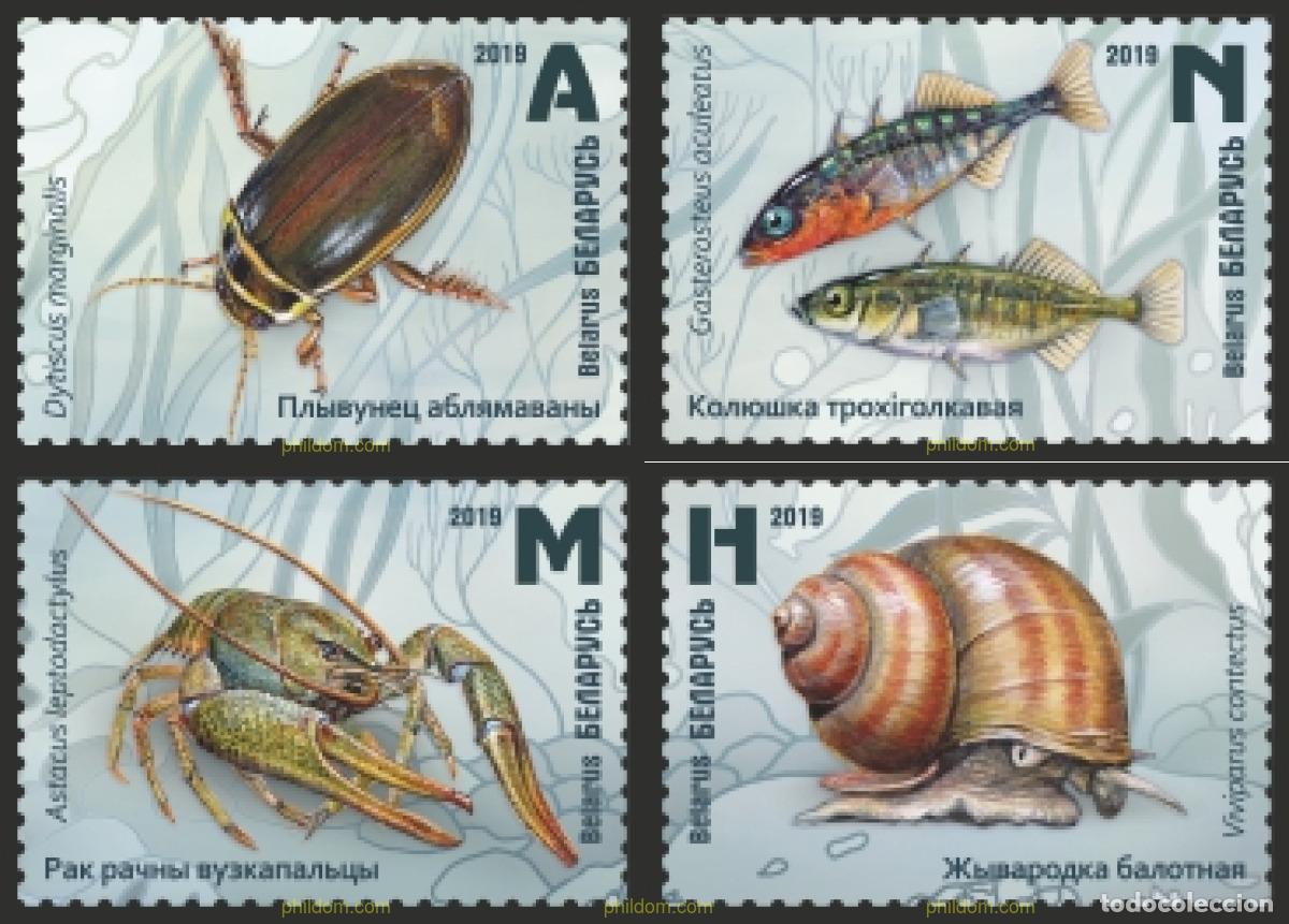 Sellos: 623943 MNH BIELORRUSIA 2019 FAUNA