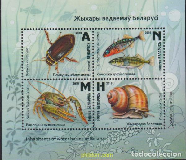 Sellos: 786096 MNH BIELORRUSIA 2019 INSECTOS DE LAS CUENCAS DE AGUA