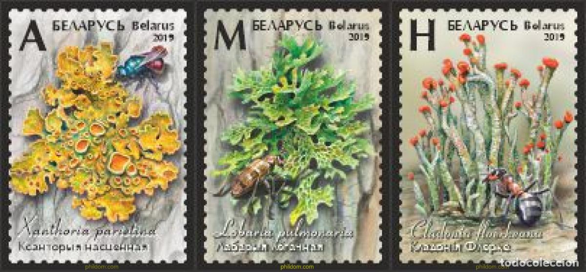 Sellos: 623955 MNH BIELORRUSIA 2019 FLORA: FLORES Y LIQUENES