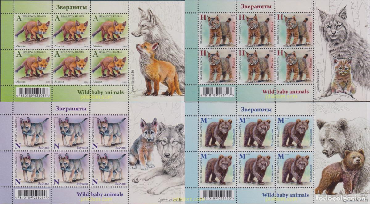 Sellos: 635010 MNH BIELORRUSIA 2020 CRIAS