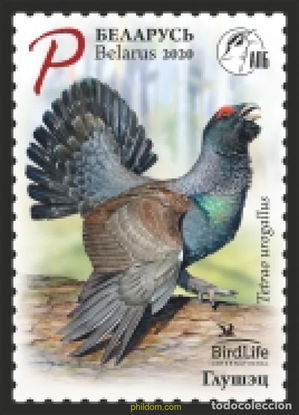 Sellos: 623905 MNH BIELORRUSIA 2020 A&Ntilde;O DE LAS AVES