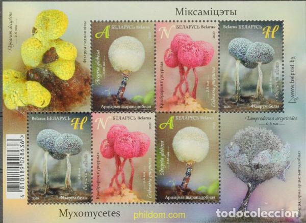 Sellos: 786157 MNH BIELORRUSIA 2020 MIXOMICETOS