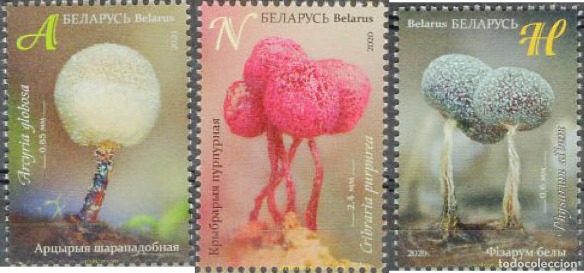 Sellos: 640143 MNH BIELORRUSIA 2020 MIXOMICETOS