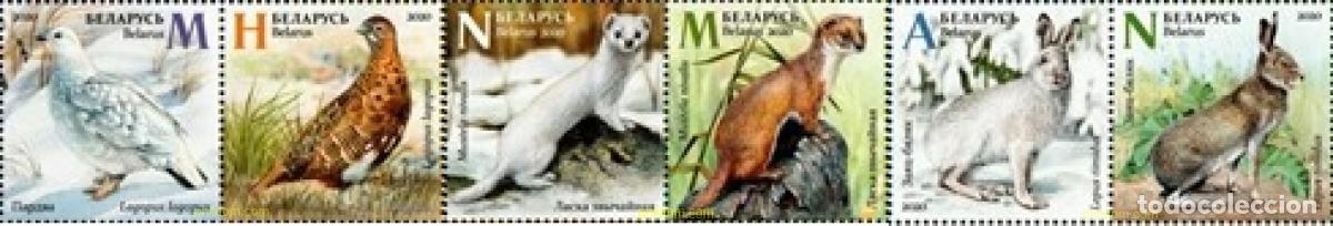 Sellos: 786160 MNH BIELORRUSIA 2020 ANIMALES Y SUS CAMBIOS ESTACIONALES